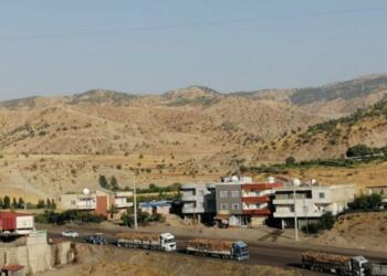 Şırnak’taki orman kıyımı: Ağaç bırakılmamış