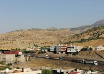 Ağaçlık alanları yağmalayıp TIR’larla başka yere taşıyorlar
