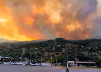 Orman yangınları bitmiyor: Söke’de orman yangını başladı