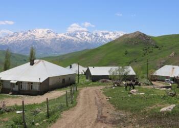 Zêvkan’da gözaltına alınanların gözaltı süresi uzatıldı
