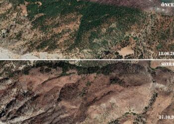 Besta bölgesinde yüzlerce ağacın kesimi, 21 Ağustos 2019 ve 17 Ekim 2021 tarihli fotoğraflara yansıyor.