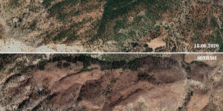 Besta bölgesinde yüzlerce ağacın kesimi, 21 Ağustos 2019 ve 17 Ekim 2021 tarihli fotoğraflara yansıyor.