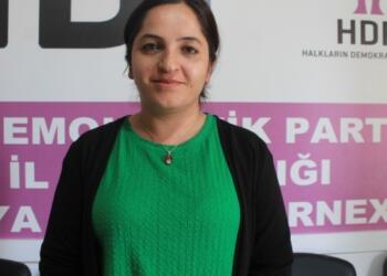 Şırnak İl Eşbaşkanı Akdağ gözaltına alındı