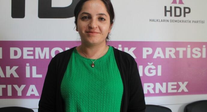 Şırnak İl Eşbaşkanı Akdağ gözaltına alındı