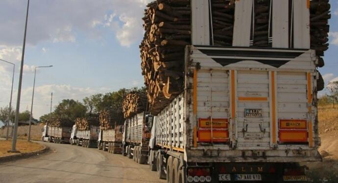 Şırnak’ta talan devam ediyor: 25 soru önergesi yanıtsız bırakıldı