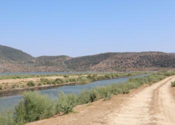 Bafa Gölü yanlış politikalara kurban edilecek