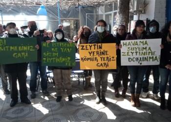 79 ekoloji ve kitle örgütünden açıklama: Zeytinlikler koşulsuz korunmalı