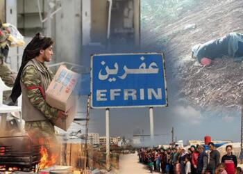 Efrîn’de hak ihlali raporu: 43 kişi kaçırıldı, 3 bin 300 zeytin ağacı kesildi