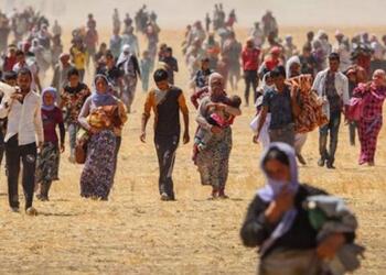 Êzidî Milletvekili Uca: Şimdi 70 yaşındaki anneler Şengal’i savunmak için mevzilerde