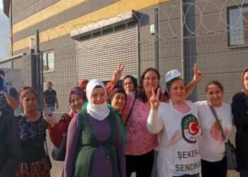 Alp Hindi fabrikasında sendikalı 4 işçi işten çıkarıldı: İşçiler direnişe geçti