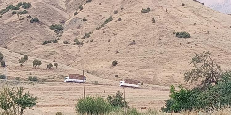 Bitlis’te asker, korucu kontrolünde kesilen ağaçlar kamyonlarla taşınıyor