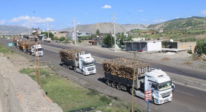 Ağaç yağmasına karşı Cudi Dağı’na yürüyüş yapılacak