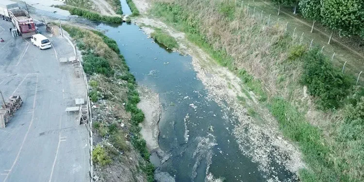 Alibeyköy Deresi’nde binlerce balık öldü