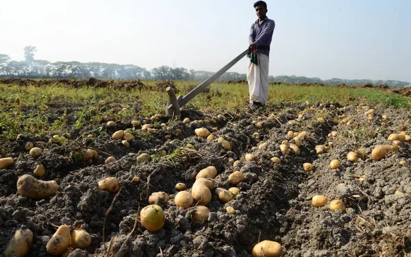 Bangladeş’te 150 bin çay işçisi greve çıktı