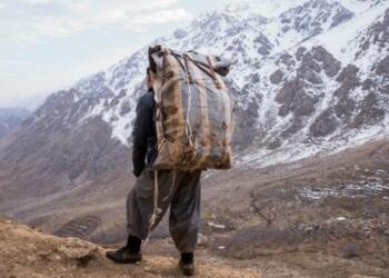 İran askerleri bir kolberi katletti
