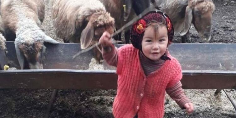 Müslüme’nin bilirkişi raporu çıktı: İstismar ve cinayet