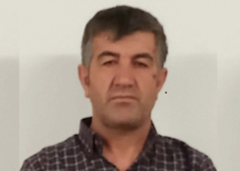 Hani MİT Rojava’da öldürmüştü, Tebiş’i KDP Türkiye’ye teslim etmiş!