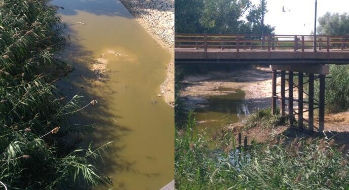 Porsuk Çayı yanlış politikalar sonucu kurutuldu