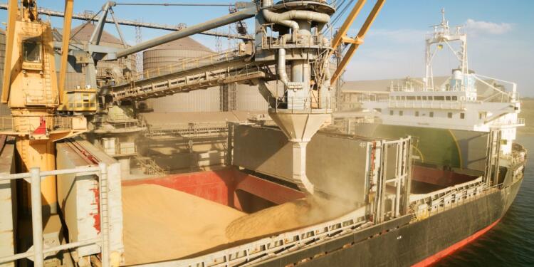 Ukrayna’dan tahıl sevkiyatı başladı