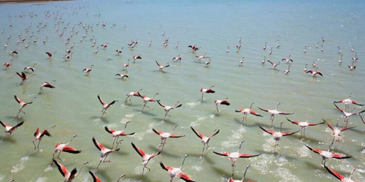 Bitlis Arin Gölü de kuruyor