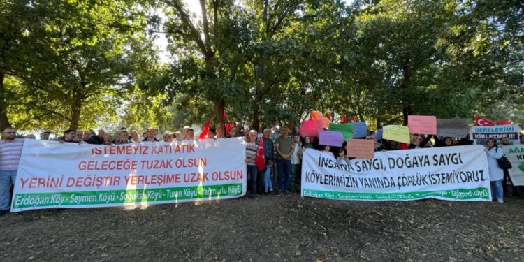 ‘Bizi kesmeden ağacı kesemezsiniz’