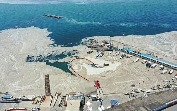 Müsilaj da ranta bağlandı