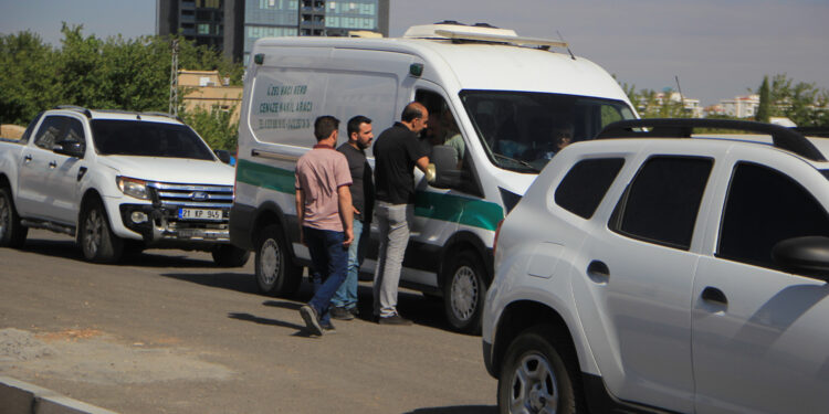 Sucin ve Kiye’nin cenazeleri alındı