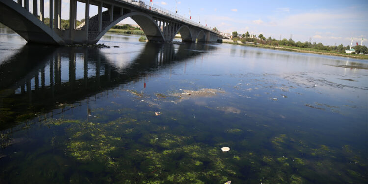 Fırat Nehri çöp akıyor