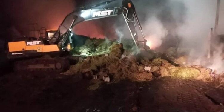 Bingöl’de yangın: 6 bin 500 balya saman kül oldu