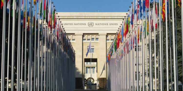 BM’den Mahsa Amini açıklaması: İşkencede öldürüldü