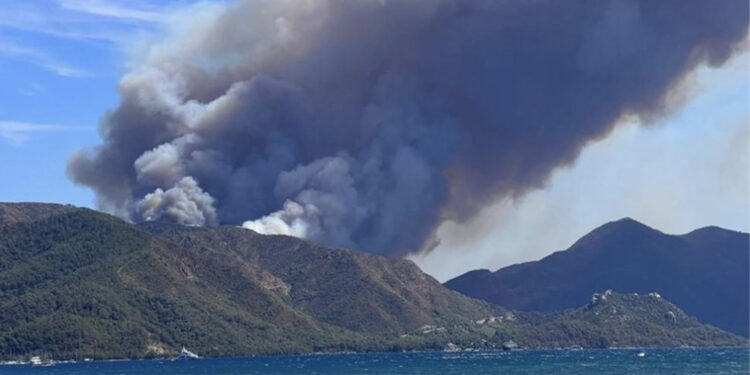 Marmaris’te orman yangını