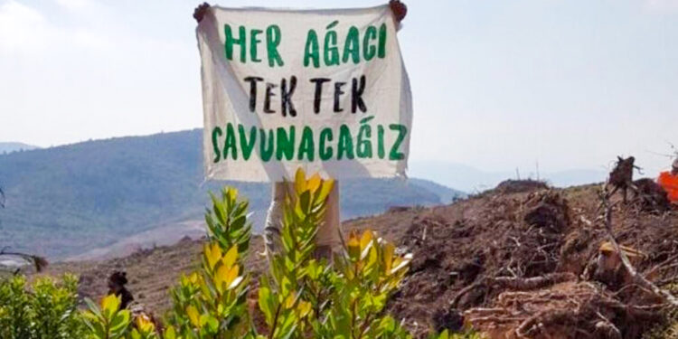 ‘Cudi Yürüyüşü’nün startı verildi