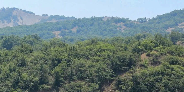 NASA’dan başarı: DART astereoidi vurdu