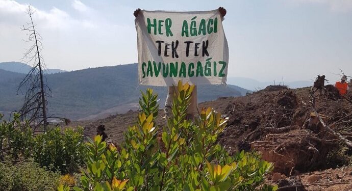 Cudi Yürüyüşü’ne çağrı: Ekoloji yok ediliyor