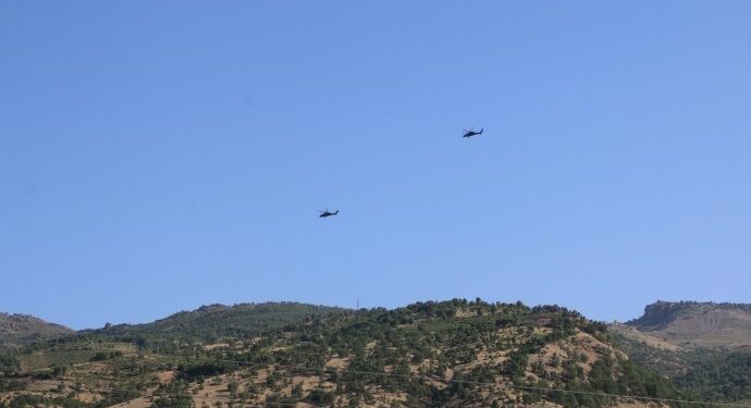 Ağaç katliamını brandayla gizlemeye çalıştılar