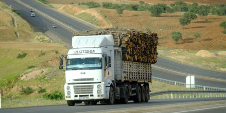 Ekolojistlerden Cudi’ye çağrı: Bu talana birlikte dur diyelim