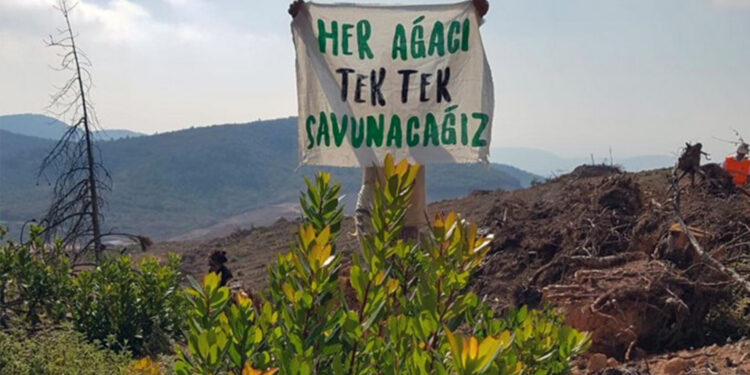 Karadeniz’den Ege’ye yurttaşlar Cudi’ye akacak