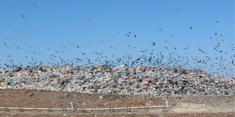 Bingöl’de çöp tesisi nedeniyle 36 çocuk hastalandı