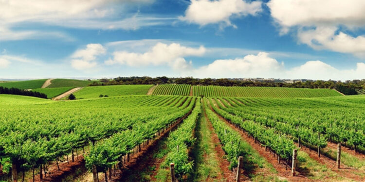 İcra dosyaları 25 milyonu aştı