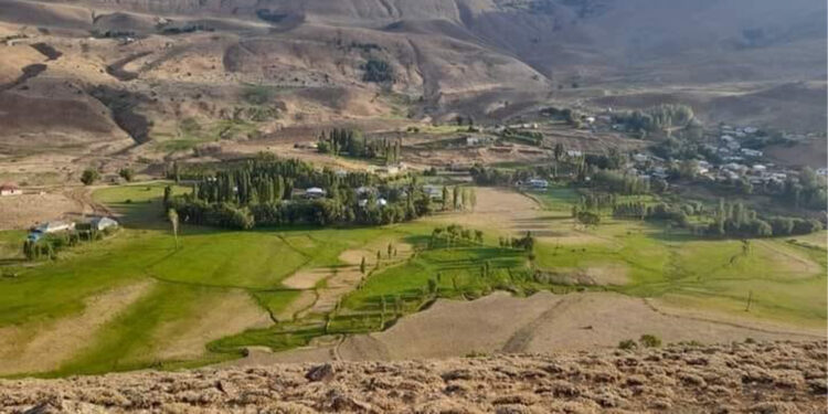 Korucular tartıştı: 2 ölü 1 yaralı