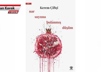 nar suyuna bulanmış şiirler