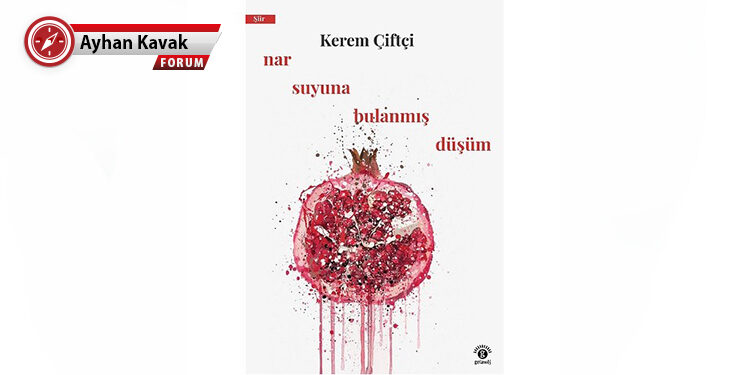 nar suyuna bulanmış şiirler