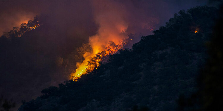 Munzur Milli Parkı’nda orman yangını ve mayın!