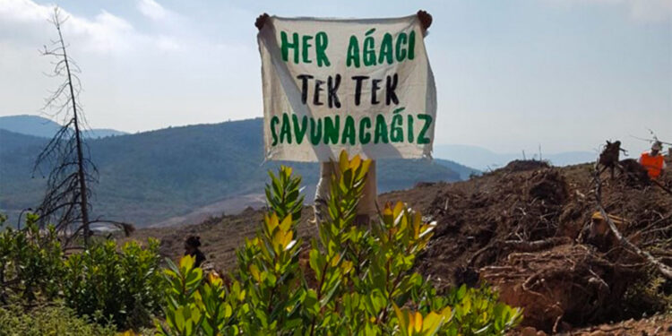 ‘Sermaye aç bir şekilde saldırıyor’