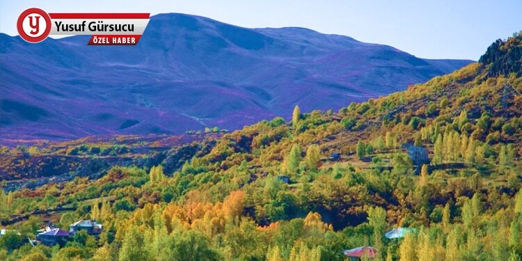 Bingöl’de 623 bin m2 ormanın vasfı değişti