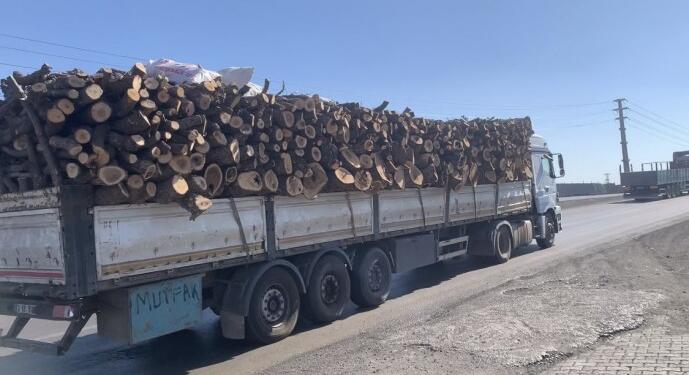 Askeri kuleler kurup Besta Bölgesi’nde ağaç kesiyorlar