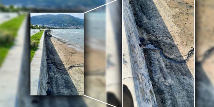 Ordu’da deniz kirliliği: Kimler korunuyor?