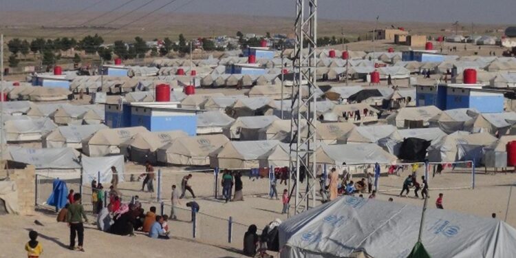 Mısırlı gazeteci Ezmi: Uluslararası güçler Hol Kampı’na çözüm istemiyor