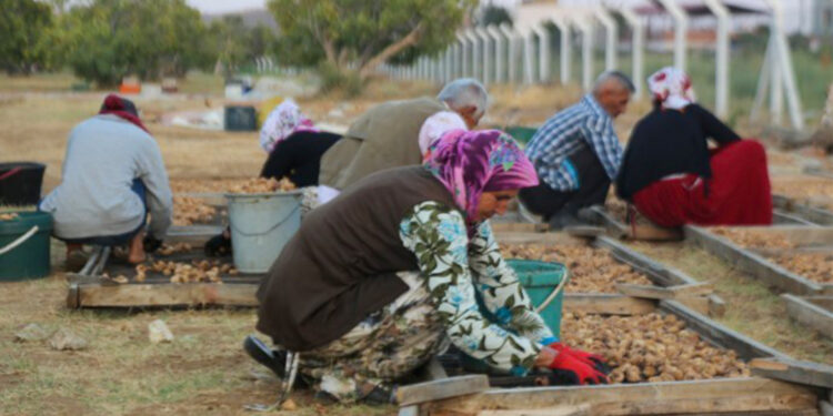 Hasta tutuklular Kürt oldukları için bırakılmıyor