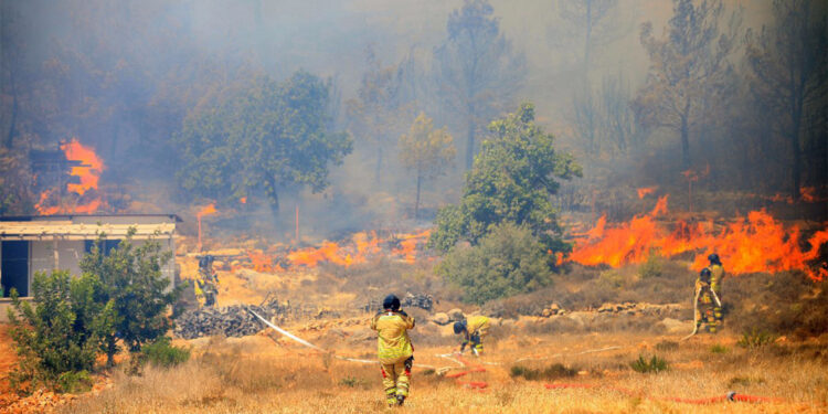 Türkiye’nin 22 noktasında orman yangını